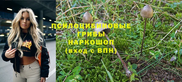 a pvp Карталы